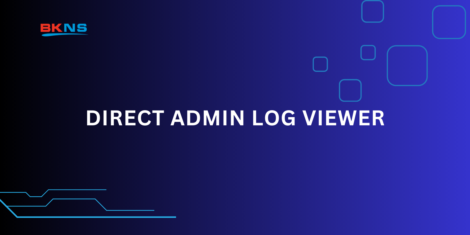 Direct Admin Log Viewer