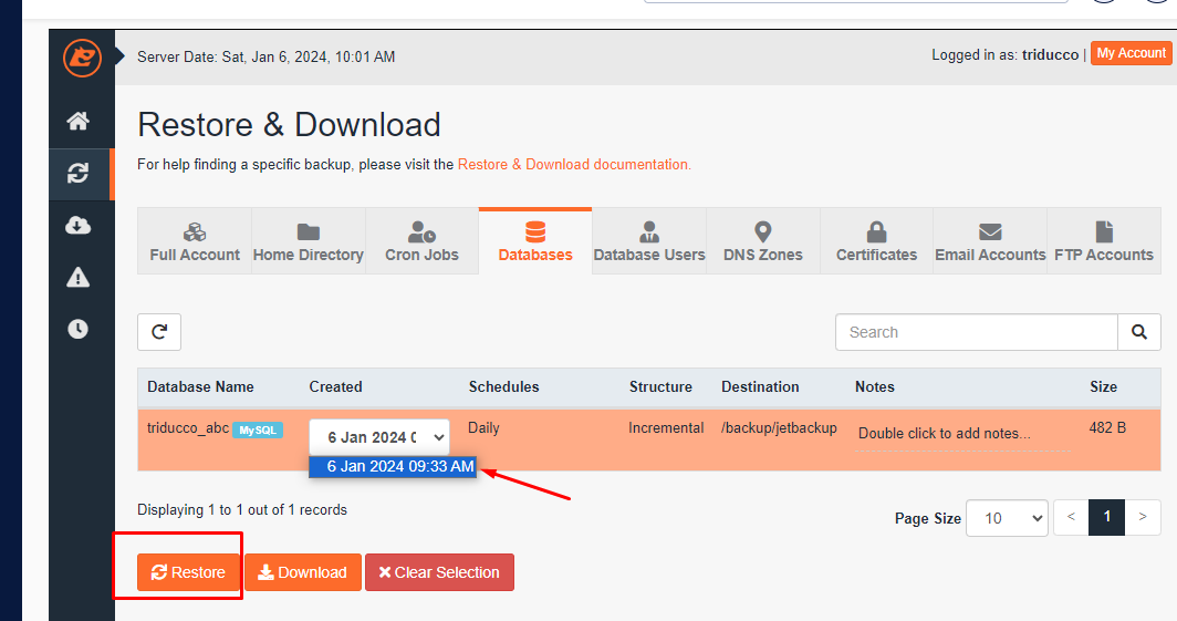 chon-Database-va-thoi-diem-can-restore