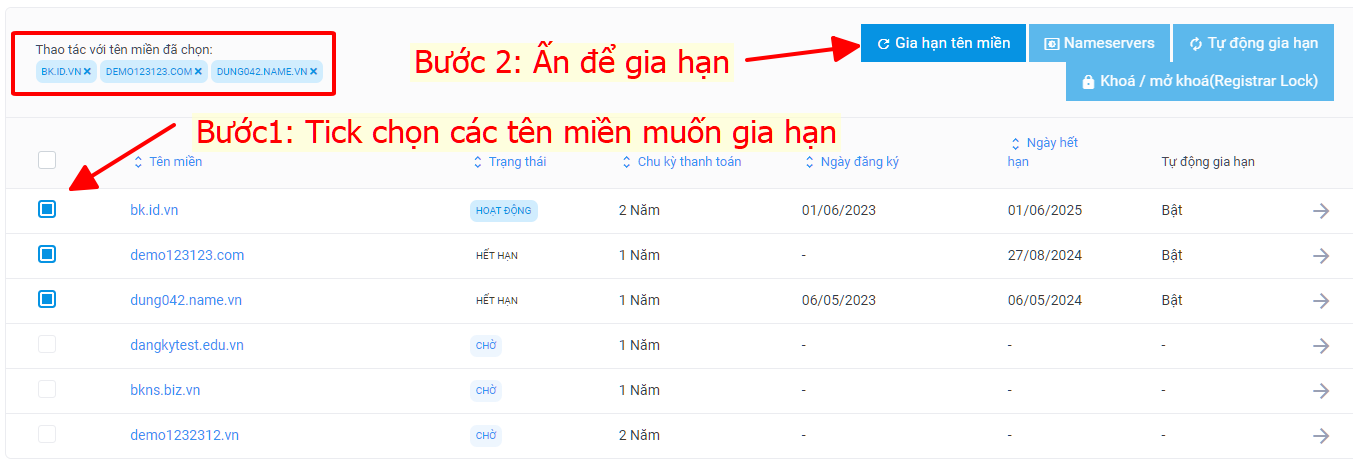 Chọn các tên miền cần gia hạn và chọn Gia hạn